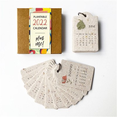 Kalandriye Papye Plantable